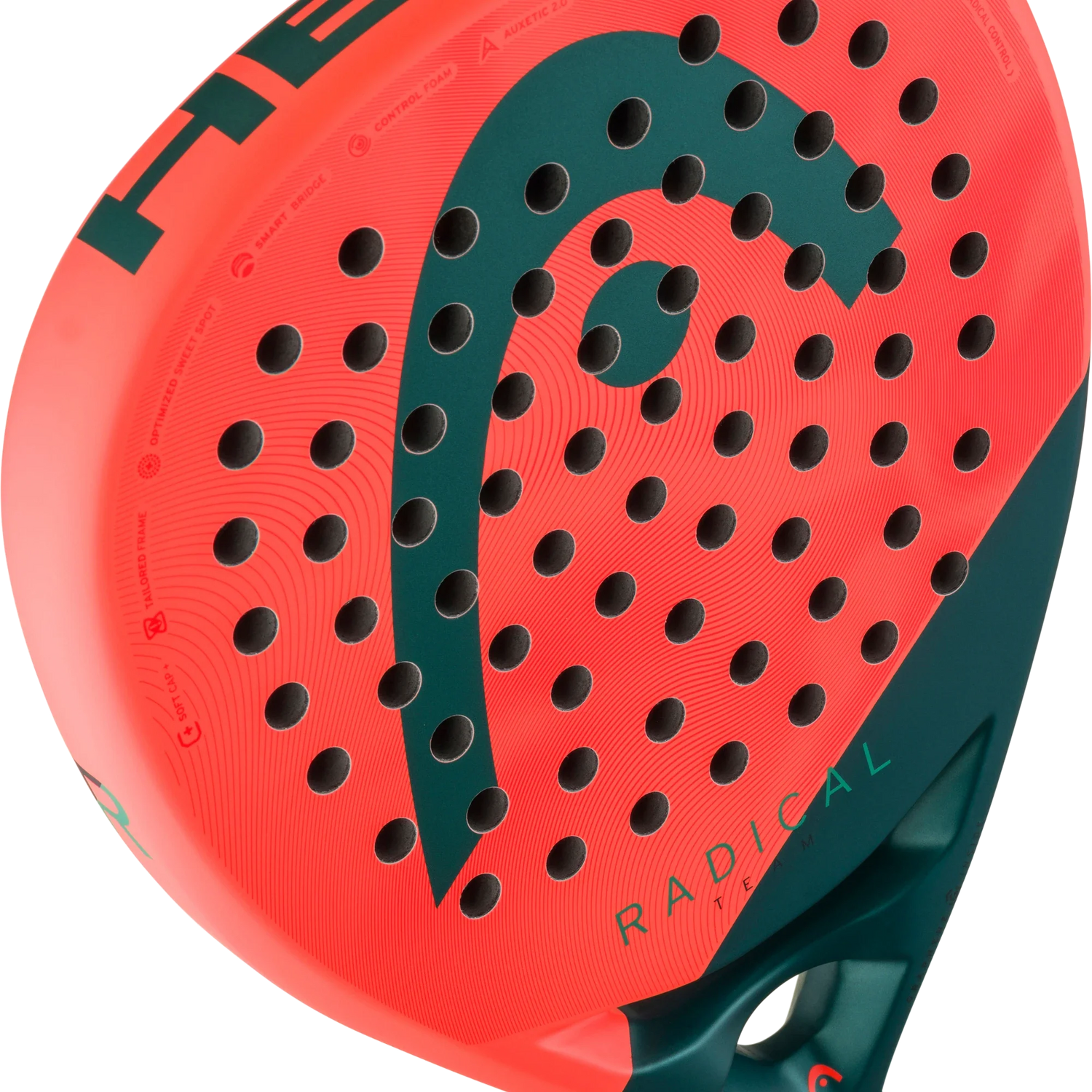 HEAD Radical Team 2026 Padel Racket
